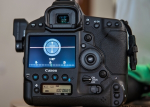 Canon EOS-1D X DSLR Compass display on LCD